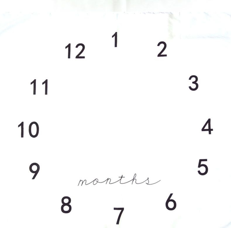 Baby Month Blanket Milestone Backdrop